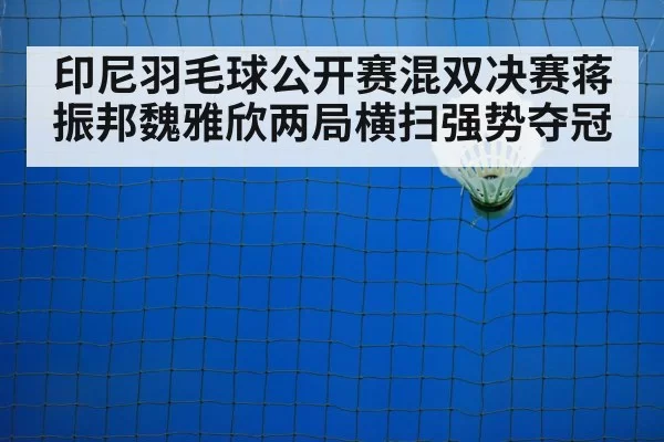 badminton net play